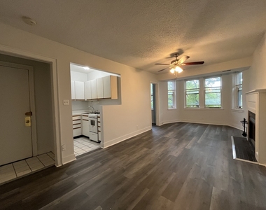 3727 N Pine Grove Avenue - Photo Thumbnail 2