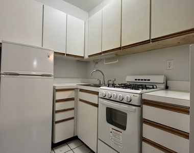 3727 N Pine Grove Avenue - Photo Thumbnail 3