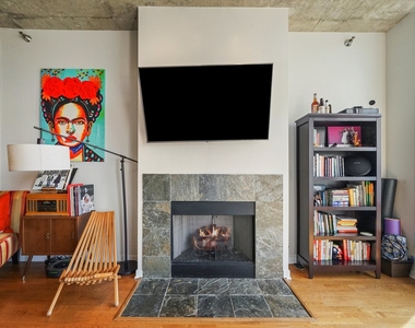 700 N Larrabee Street - Photo Thumbnail 10