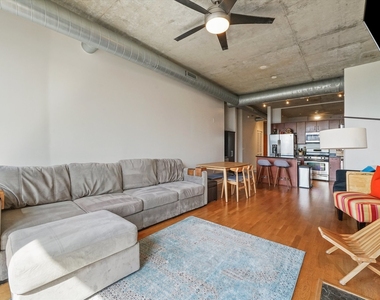 700 N Larrabee Street - Photo Thumbnail 8