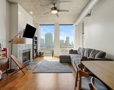 700 N Larrabee Street - Photo Thumbnail 4