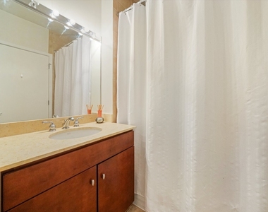 700 N Larrabee Street - Photo Thumbnail 23