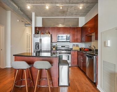 700 N Larrabee Street - Photo Thumbnail 5