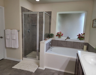 10739 Chestnut Path Way - Photo Thumbnail 5