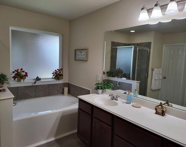 10739 Chestnut Path Way - Photo Thumbnail 10
