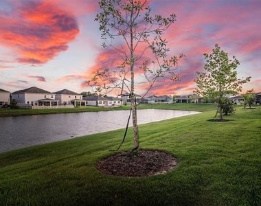 30950 Parrot Reef Court - Photo Thumbnail 6
