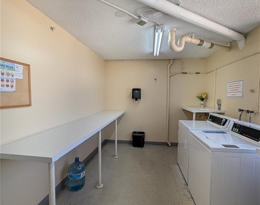255 Dolphin Point - Photo Thumbnail 28