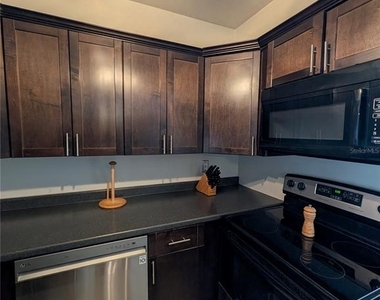 255 Dolphin Point - Photo Thumbnail 20