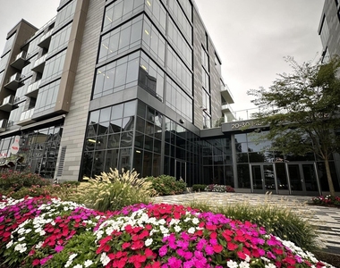 20 Melrose Terrace - Photo Thumbnail 29