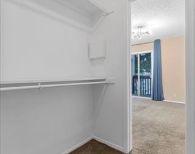 4859 Cedar Springs Road - Photo Thumbnail 20