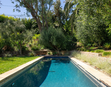 6456 Sycamore Meadows Drive - Photo Thumbnail 40