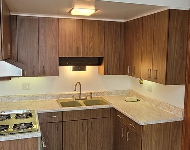 5228 W Hutchinson Street - Photo Thumbnail 9
