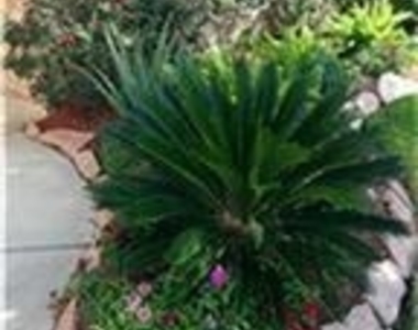 25202 Diamond Ranch Drive - Photo Thumbnail 11