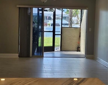 1028 Apollo Beach Boulevard - Photo Thumbnail 3