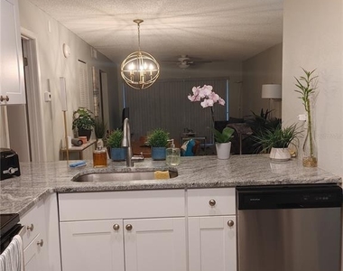 6218 Palma Del Mar Boulevard S - Photo Thumbnail 3