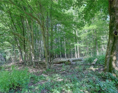 5880 Draudt Road - Photo Thumbnail 7