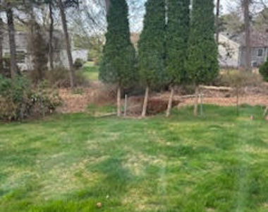 56 Auburn Road - Photo Thumbnail 11