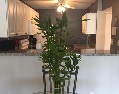 10 Royal Palm Way - Photo Thumbnail 3