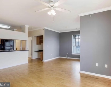 13505 Kildare Hills Terrace - Photo Thumbnail 6