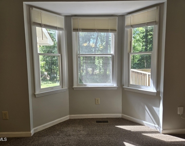 207 Meadow - Photo Thumbnail 3