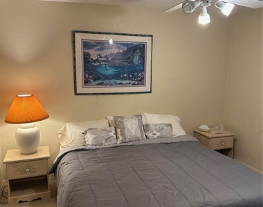 306 Emerald Bay Circle - Photo Thumbnail 13