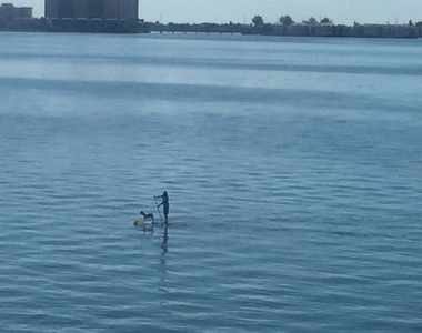 5900 Shore Boulevard S - Photo Thumbnail 32