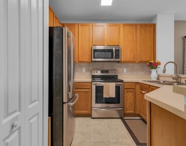 13527 Daniels Landing Circle - Photo Thumbnail 13