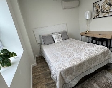 61 Colony Street - Photo Thumbnail 4