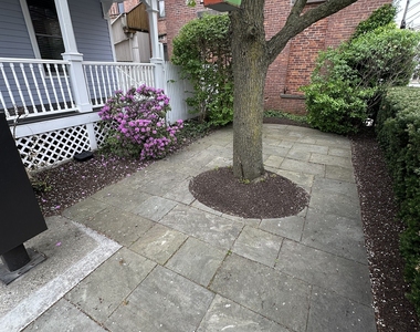 8 Haviland Street - Photo Thumbnail 16