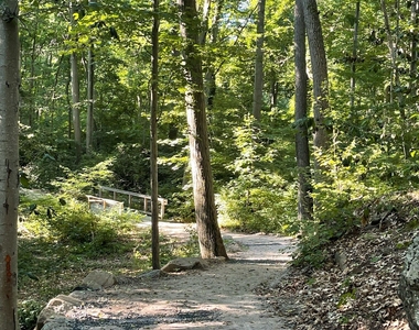 204 Clark Avenue - Photo Thumbnail 12