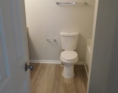 4409 Plum Frost Court - Photo Thumbnail 26