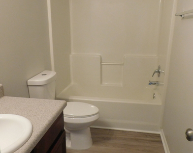 4409 Plum Frost Court - Photo Thumbnail 18
