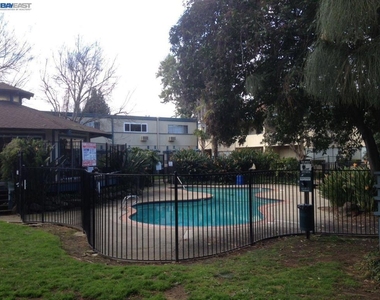 1731 Ellis St. - Photo Thumbnail 11
