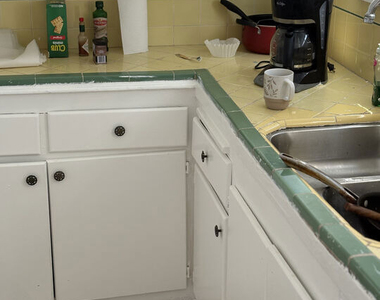 1052 W 60th Place - Photo Thumbnail 5