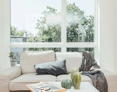 9 Cook Street - Photo Thumbnail 5