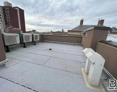 9 Cook Street - Photo Thumbnail 7