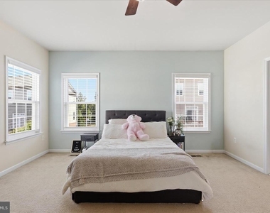20925 Houseman Terrace - Photo Thumbnail 23