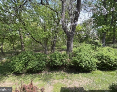 329 Shawmont Avenue - Photo Thumbnail 19
