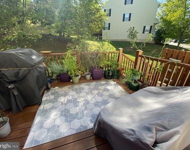 805 Rosehill Drive - Photo Thumbnail 29