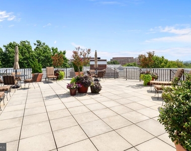 2500 Q Street Nw - Photo Thumbnail 30