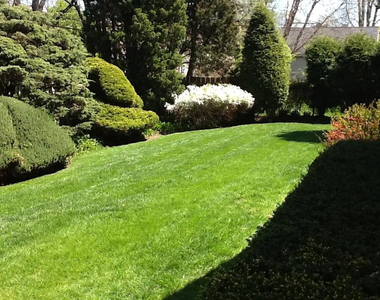 460 Highcrest Drive - Photo Thumbnail 41