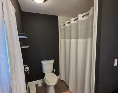 149 Adam Street - Photo Thumbnail 10