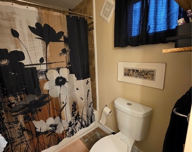 149 Adam Street - Photo Thumbnail 25