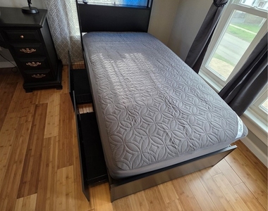 149 Adam Street - Photo Thumbnail 8
