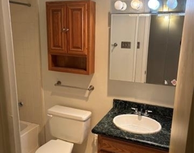 2708 Running Brook Lane - Photo Thumbnail 9