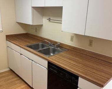 2708 Running Brook Lane - Photo Thumbnail 3