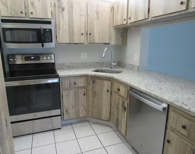 703 Sunny Pine Way - Photo Thumbnail 4