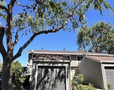 2828 Royal Ann Ln - Photo Thumbnail 48