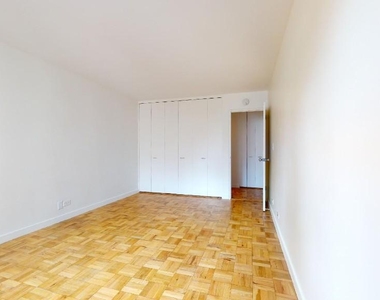 333 east 49th street  - Photo Thumbnail 2
