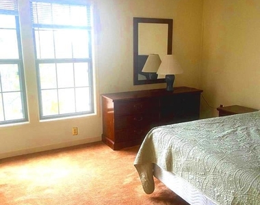 529 King Street - Photo Thumbnail 13